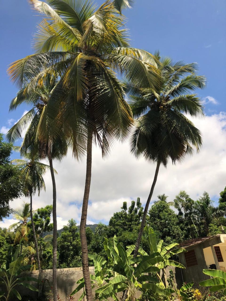 Hotel Inoubliable Cotterelle 外观 照片